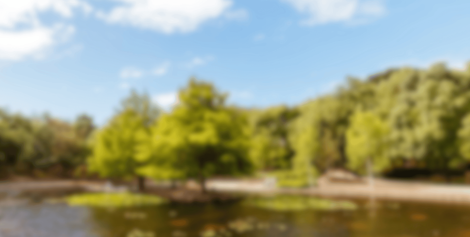 nextt_silopportunity_casey