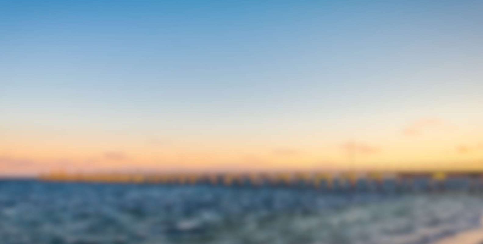 nextt_silopportunity_marion