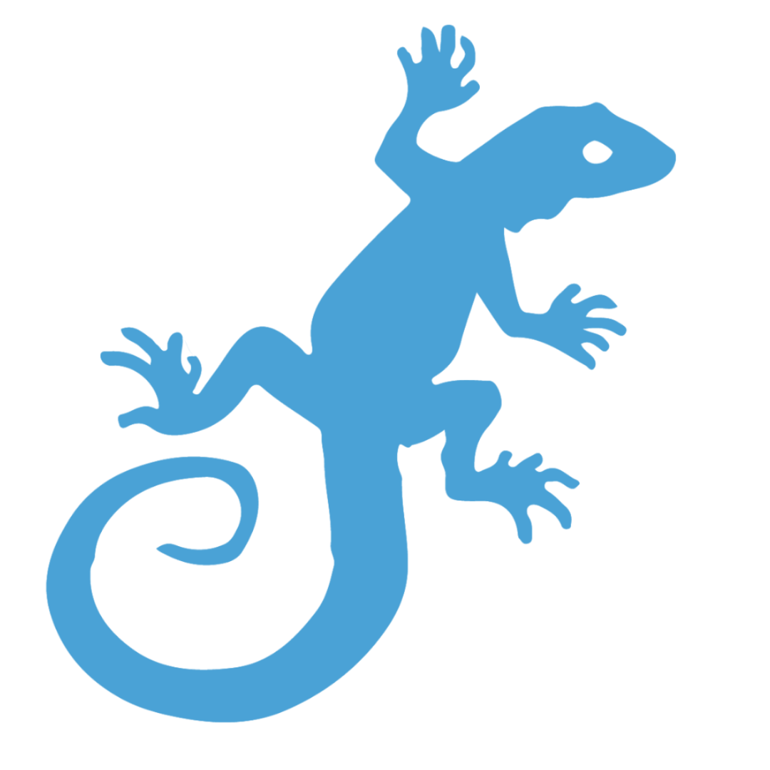 lizard_icon