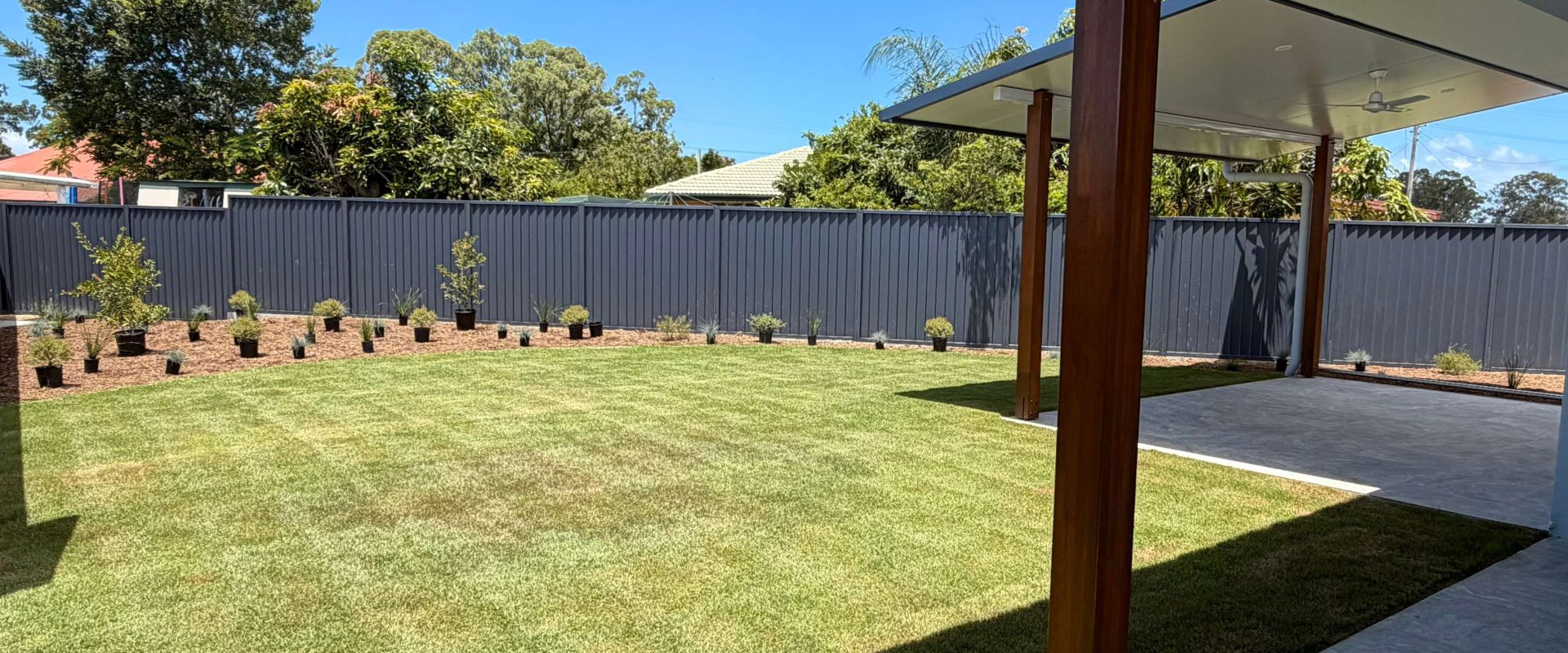 zillmerebackyard